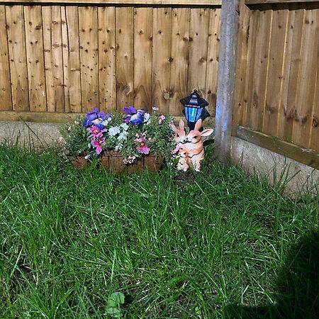 Comfortable Double Room & Single Room In Vibrant Hatfield Neighbourhood Exterior photo